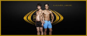 ダウンロード
